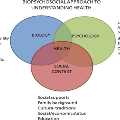 Biopsychosocialchart