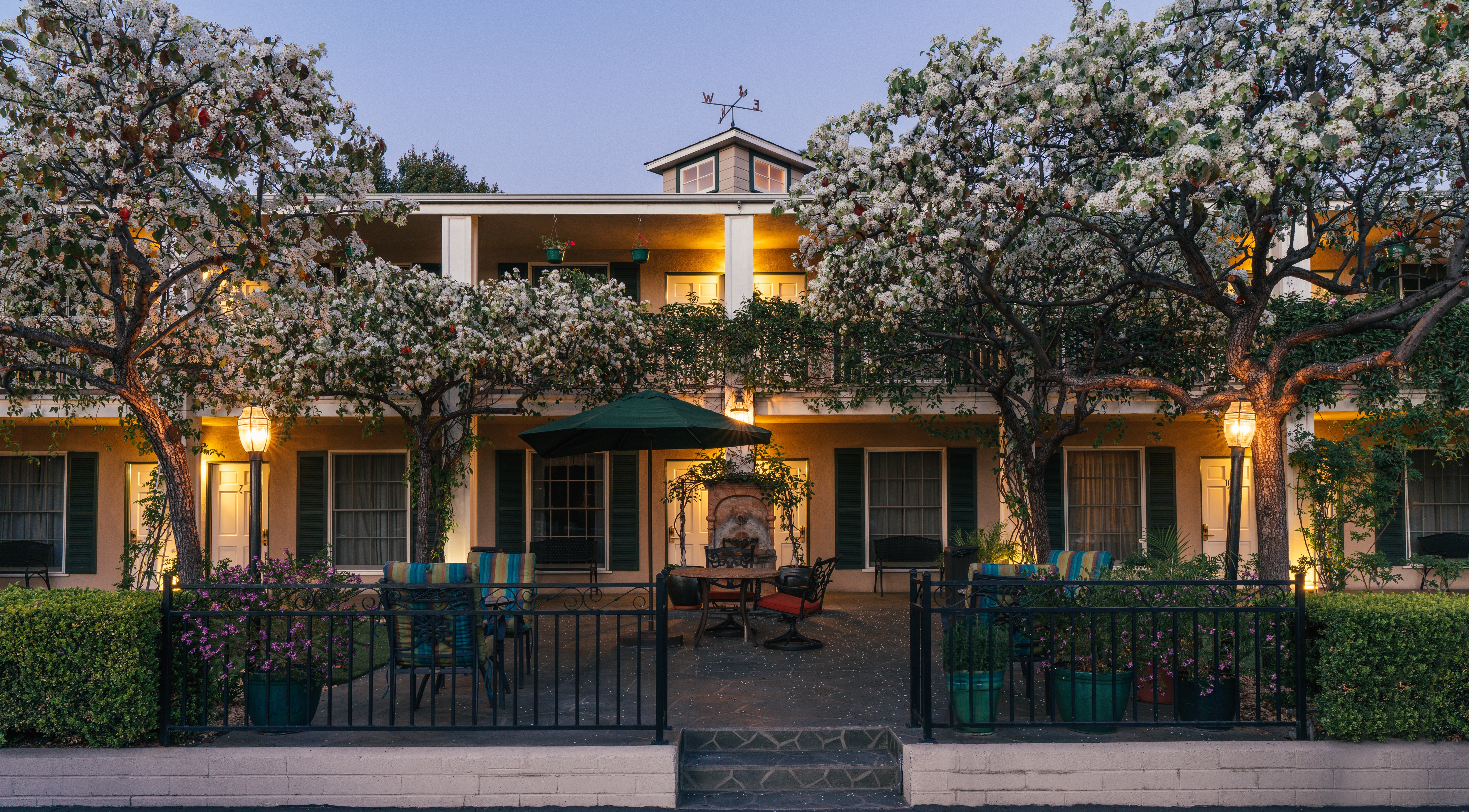 LavenderBlossomingTreesBedandBreakfast