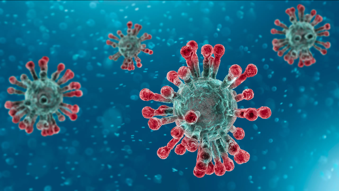 Coronavirus2