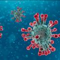 Coronavirus2