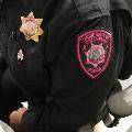 PolicewearspinkpatchinsupportofBreastCancerAwareness